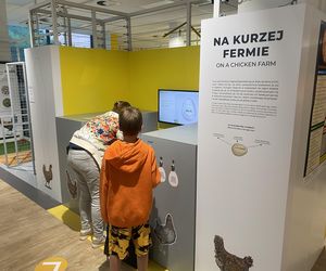 Słoneczny początek wakacji w Olsztynie! Eska Summer City w Kortosferze