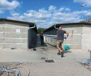 ​W schronisku dla zwierząt w Henrykowie koło Leszna montują markizy. Dadzą psom cień w gorące dni