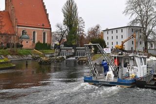Koparki pracują na brzegu Brdy, przy farze w Bydgoszczy. To inwestycja z myślą o... rybach