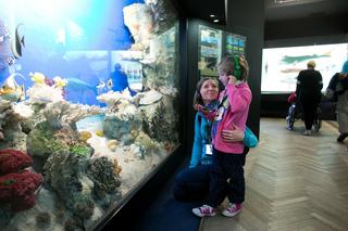 Wnętrze Akwarium Gdyńskiego 