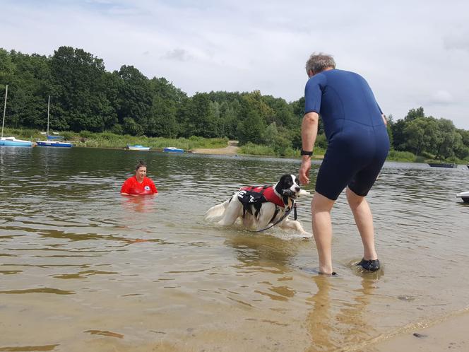 I Festiwal Psów Ratowniczych na plaży miejskiej w Żywcu