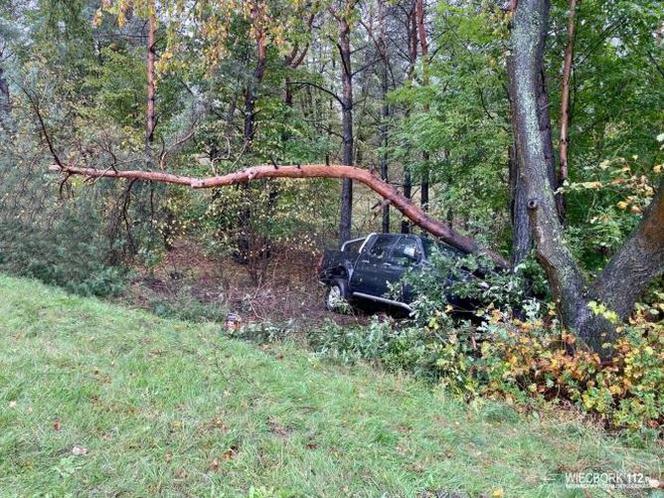 Groźny wypadek w Więcborku! Samochód wypadł z drogi i zatrzymał się na drzewie!