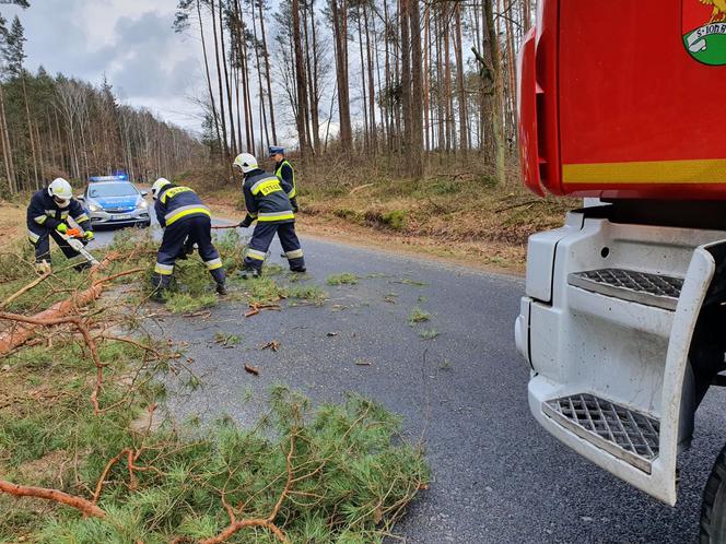 Szkody po Orkanie Eunice. Zrywało dachy, wyrywało grube drzewa, brakowało prądu