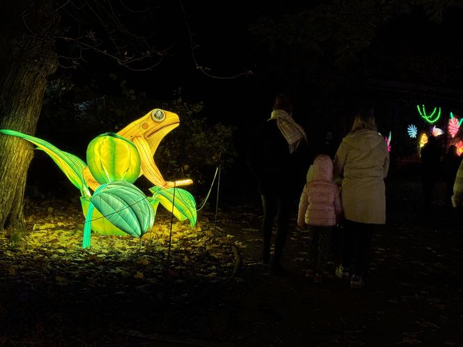 Garden of Lights we Wrocławiu