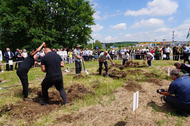 Mistrzostwa w kopaniu grobów na czas w Targach Kielce