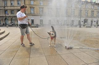 Upały wracają do Polski. IMGW podaje, gdzie termometry wskażą nawet 30°C [Prognoza IMGW na 9.08.2025]