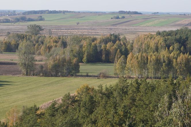 Wieża widokowa w Uhowie