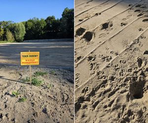 Ma tu być stadion. Teraz jest wychodek dla psów. Miłośnicy sportu grzmią: Uciekniemy się do drastycznych metod
