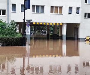 Nysa. Ratownicy WOPR i GOPR z całego kraju zjeżdżają do miasta. Dwugodzinne kolejki w sklepach