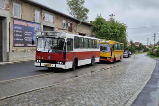 Naprawdę specjalna komunikacja na Noc Muzeów we Wrocławiu. Przejedź się zabytkowym tramwajem lub autobusem