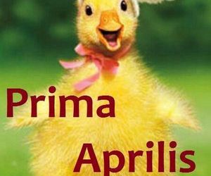 Kartki i grafiki na Prima Aprilis 2025. Pobierz za darmo i świętuj 1 kwietnia z humorem!