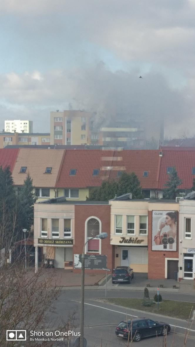 Pożar mieszkania na ul. Monte Cassino w bydgoskim Fordonie! Konieczna była ewakuacja mieszkańców! [AKTUALIZACJA, ZDJĘCIA]