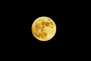 W życiu tego znaku zodiaku zapanuje radość i szczęście. Przepowiednia dla znaków zodiaku wskazuje czas dobrobytu i łaski. Horoskop na pełnię księżyca