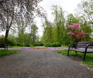 Park Bronowice wiosną 2024