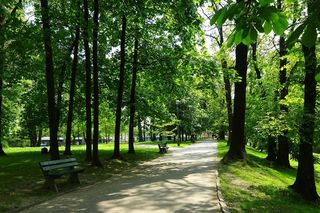 Nowa atrakcja w Krakowie. W Parku Kleparskim powstanie plac zabaw i siłownia