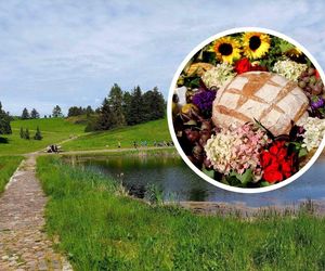 Sierpień w Bydgoszczy żegna się z hukiem. Dożynki Wojewódzkie, koncerty i Festiwal Pozytywka. Sprawdź, co się dzieje
