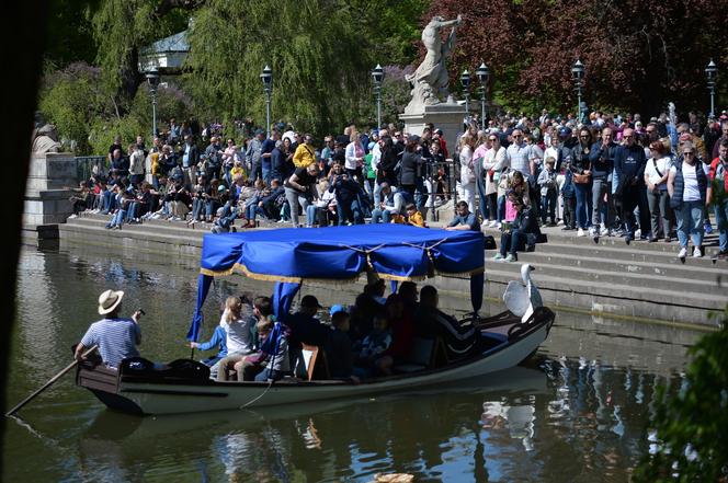 Piknik Europejski w Łazienkach Królewskich (1 maja)