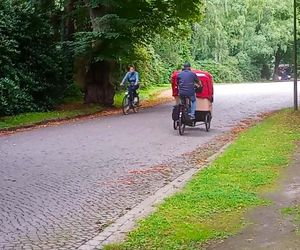 Ohlsdorfer Friedhof w Hamburgu