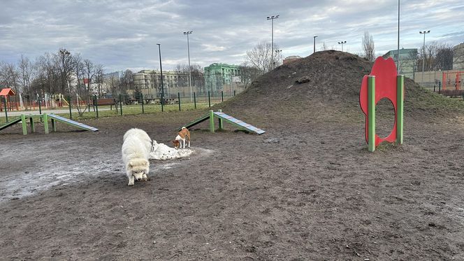 Psi park na ul. Żubardzkiej w Łodzi