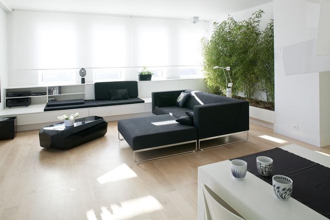 Zielone bambusy naturalną ozdobą salonu w stylu minimlaistycznym