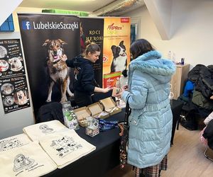 Dzień Kota w Schronisku dla Bezdomnych Zwierząt w Lublinie. Nie tylko głaskanie i drapanie za uszkiem