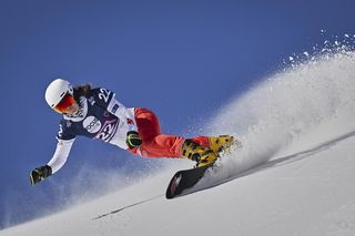 Aleksandra Król-Walas