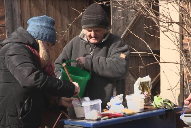 Rolnicy. Podlasie. Gienek i Sławek bielą drzewka. "Idzie jak krew z nosa"