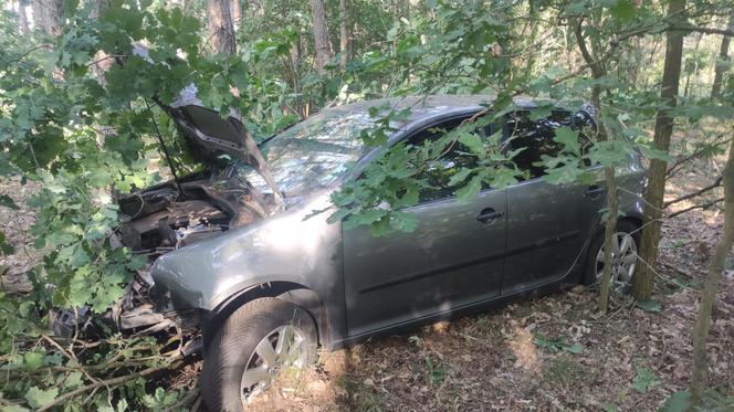 Wypadek pod Toruniem. Zakrwawiony kierowca wjechał autem w las