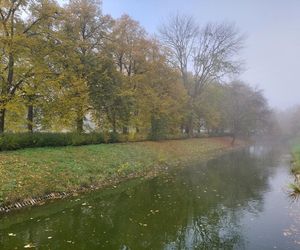 Zamojski Park jesienią
