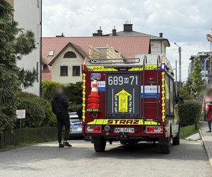 Tragedia w Ząbkach. Ciało kobiety leżało na chodniku. Na miejscu policja