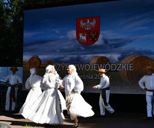 Tłumy na dożynkach w Olsztynku. Zobacz, jak wyglądało tegoroczne święto plonów