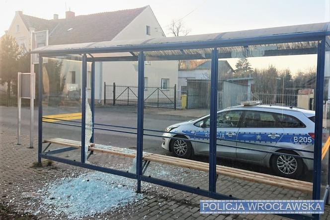 Siechnice: 67-latek zbił szybę na przystanku, bo autobus się spóźniał