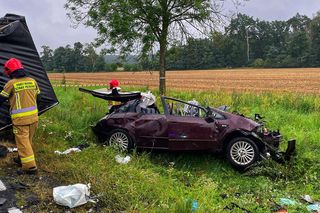 Karambol na DK 24 pod Międzyrzeczem. Zderzenie dwóch osobówek i dwóch ciężarówek