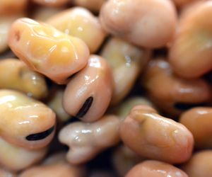 Zawiera niewiele kalorii, jest sycący i ma dużo białka. Ale nie służy każdemu