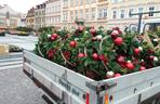 Świąteczne dekoracje w Rzeszowie od 1 grudnia. Będzie ich mniej! 