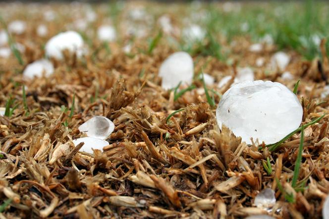 Pogoda Białystok: Nadchodzą burze z gradem! Na Podlasiu mocno powieje