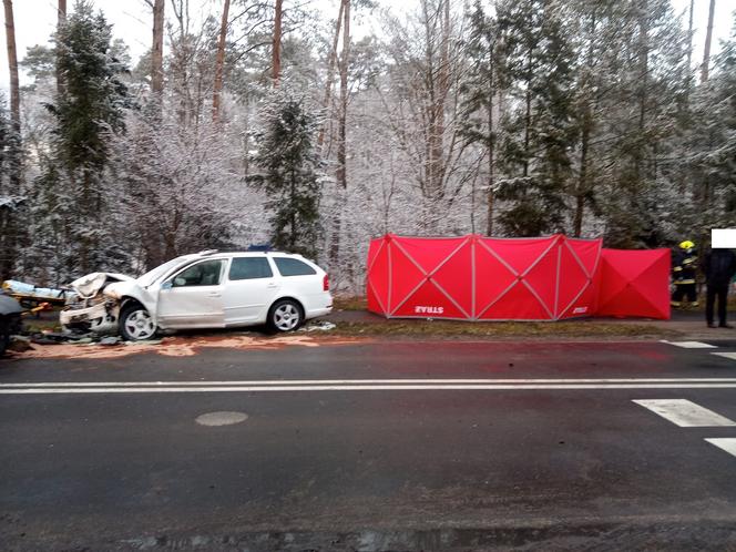 Tragiczny wypadek pod Lesznem, nie żyje roczne dziecko