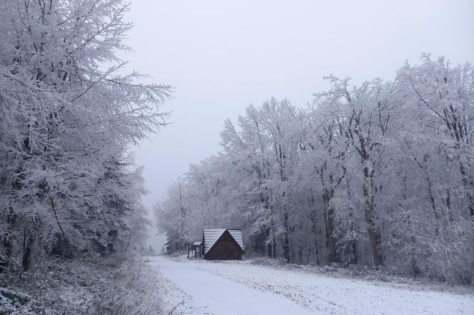 Zima w Bieszczadach 