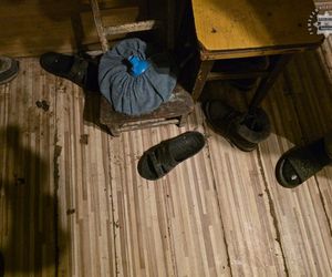 Policjanci odebrali 8 skrajnie zaniedbanych psów nieodpowiedzialnej właścicielce