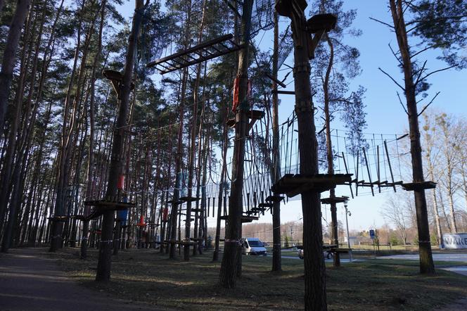 Powstaje park linowy w Białymstoku! To nowa inwestycja na plaży Dojlidy