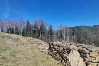 Archeolodzy wracają na Górę Zyndrama w Maszkowicach. Odkryli tam domy z epoki brązu