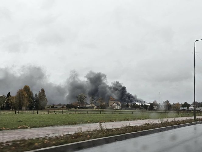 Pożar hali w Sadowie