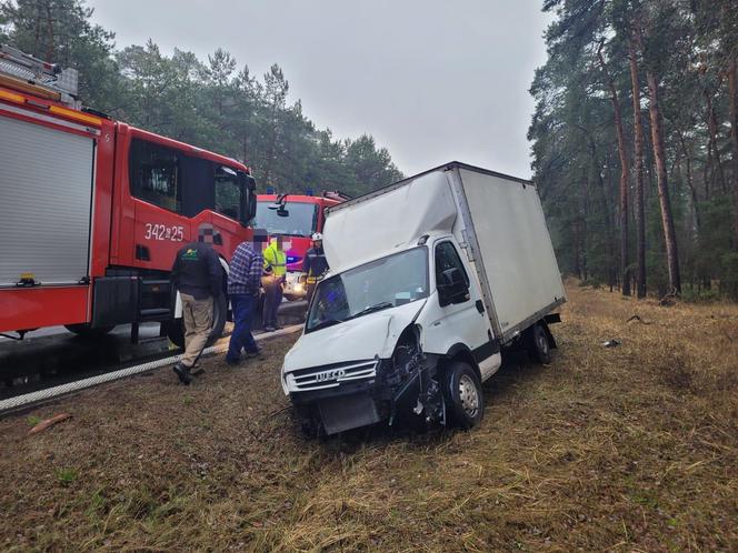 Potężny karambol na DK nr 15 pod Toruniem. Zdjęcia z miejsca wypadku