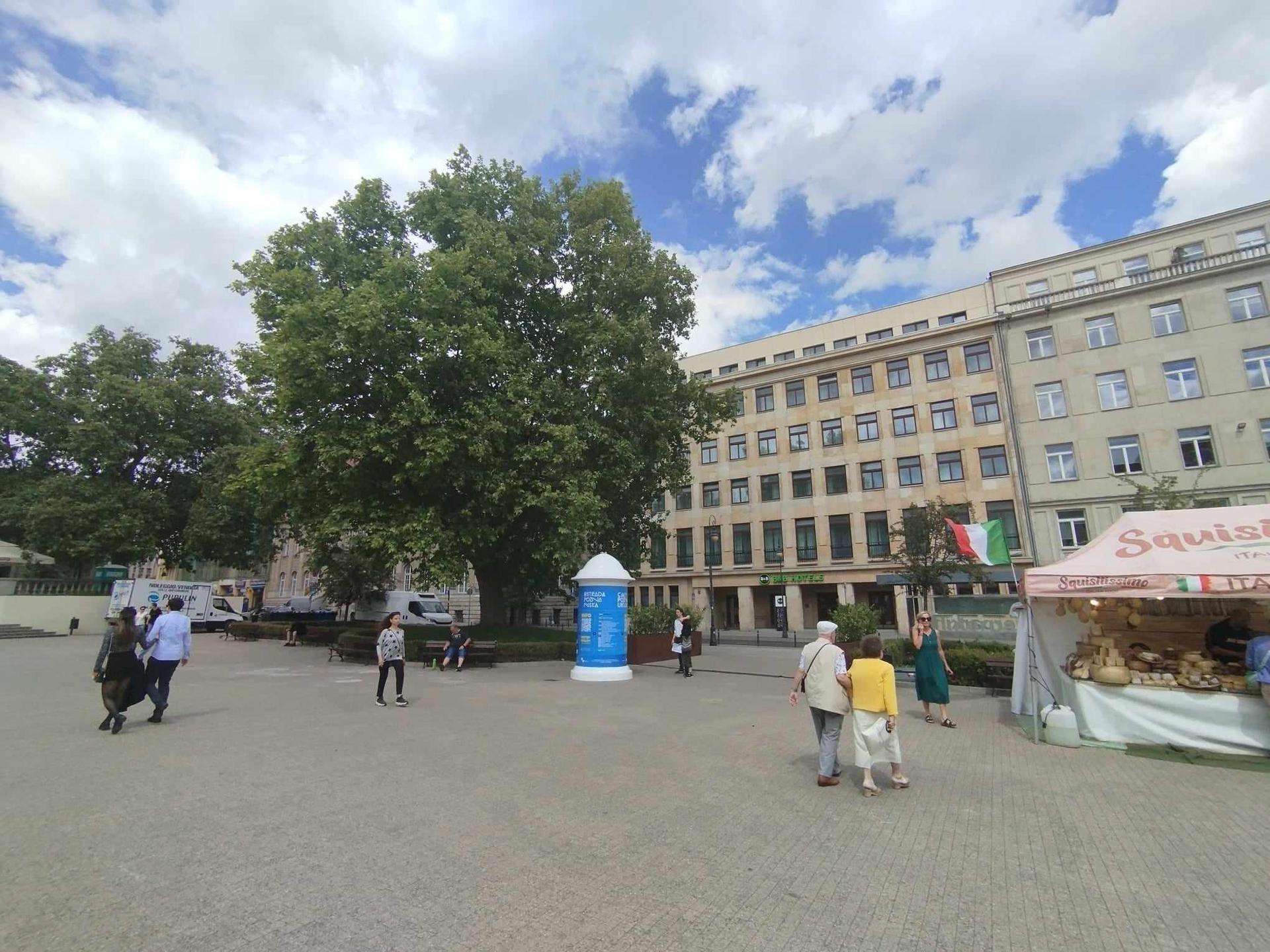 Plac Wolności 15 w Poznaniu