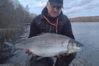 Ten wędkarz to nie leszcz. W Jeziorze Miłoszewskim złowił ogromną rybę! Nieoficjalny rekord Polski [ZDJĘCIA]