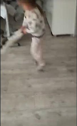 Dziewczynka rzucała kotem, matka nagrywała! Interweniowała policja