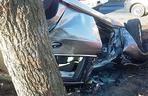 Kierowca BMW uderzył w drzewo w gminie Lubicz