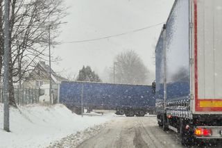 Atak zimy na Dolnym Śląsku. Zablokowane drogi, połamane i powalone drzewa 