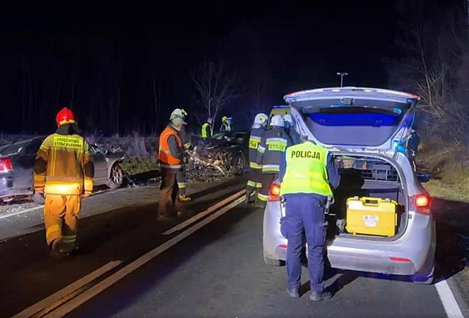 Wypadek na DK 43 między Krzepicami a Opatowem