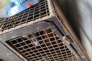 Miał być hotel, były klatki. Były trzymane w dramatycznych warunkach. „Bez wody, jedzenia i dostępu do światła”